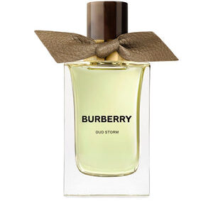 Burberry Signatures Oud Storm Eau De Parfum 100ML